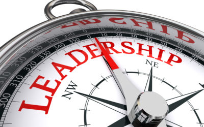 Learned the Hard Way: A Model of Executive Leadership Competencies